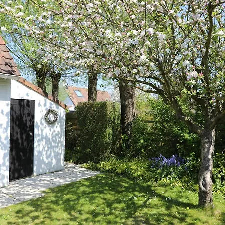 Bergh&duin Vakantiehuis *